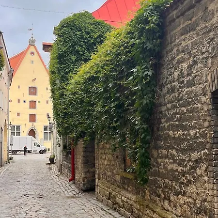Сasa de vacaciones Tallinnhousing Luxury House With Sauna And Small Pool Old Town *