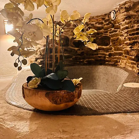 Tallinnhousing Luxury House With Sauna And Small Pool Old Town *