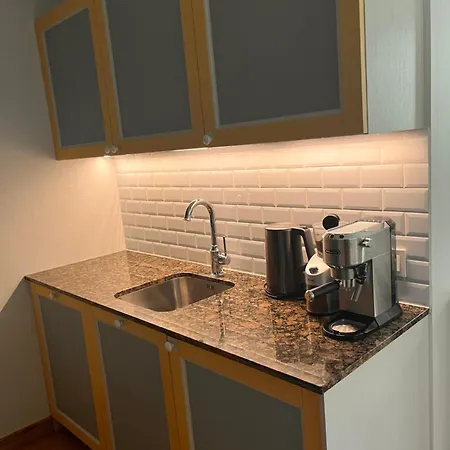 Puhkemaja Tallinnhousing Luxury House With Sauna And Small Pool Old Town