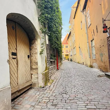 Tallinnhousing Luxury House With Sauna And Small Pool Old Town Puhkemaja